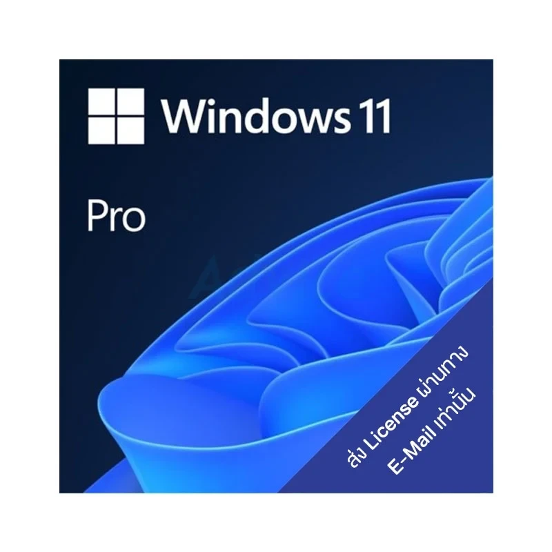 WINDOWS 11 PRO 64 BIT (ESD,FQC-10572)